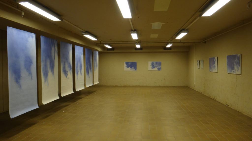 Shunya Asami exposition